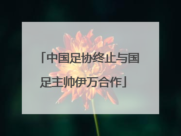 中国足协终止与国足主帅伊万合作